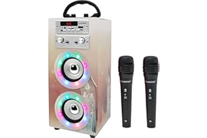 DYNASONIC - (3e génération Haut-Parleur Bluetooth Portable avec Mode karaoké et Microphone, Radio FM et Lecteur USB SD (Model 19)