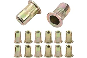 QANCEN 50 Pezzi Rivetti Filettati M10, Inserti Filettati per Dadi a Testa Piatta, Zincati in Acciaio al Carbonio Inserti Filettati Adatto per Legno, Automotive, Mobili