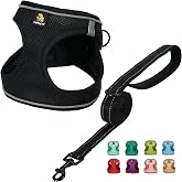BELLA & PAL Dog Harness for Small Dogs with Lead Step-in Harness Made of Air Mesh Anti-Pull Reflective Breathable Chest Harness Puppy Harness Cat Harness Black M