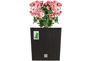 PAFEN Doniczka niska wykonana na wzór rattanu plecionki Donica z wkładem dystansowym 40 x 40 cm