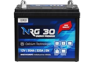 NRG PREMIUM NRG Starterbatterie 30Ah Rasentraktor Aufsitzmäher Rasenmäher Batterie Plus Pol rechts