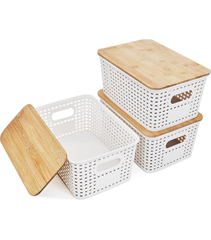Winter Shore Doorzichtige Opslag Bakken met Deksels (4 Pak) - Stapelbare Plastic Opslag Bakken met Handvatten - Badkamer, Kast, Toilet, Kelder, Koelkast, Keuken Opslag - BPA-Vrij - 29 x 20 x 15 cm Winter Shore Doorzichtige Opslag Bakken met Deksels (4 Pak) - Stapelbare Plastic Opslag Bakken met Handvatten - Badkamer, Kast, Toilet, Kelder, Koelkast, Keuken Opslag - BPA-Vrij - 29 x 20 x 15 cm