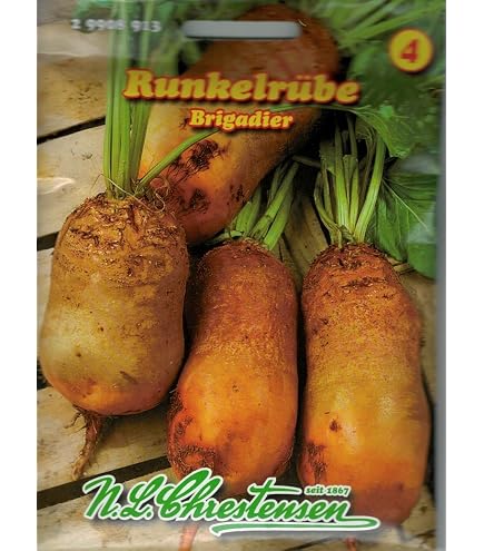 Rbensamen - Futterrben Eckdogelb, 15 g von Kiepenkerl : Amazon.de: Garten