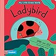 Ladybird (My Little Green World, 2)