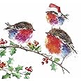 Box Of 8 Robin Hospice UK Charity Season's Greetings Charity Christmas – Love Kate's - View #4