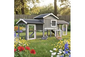 BB LOISIR Cage Clapier Enclos Lapin Extérieur en Bois Haute Qualité pour Lapins Petits Animaux- Modèle : 085 Don Camillo 210x54x85,5cm