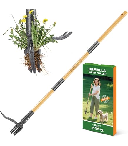 Jardinière Manuelle Désherbeur Acier Inoxydable - Extracteur Pissenlit Outil Jardin