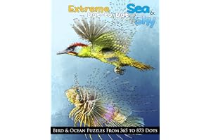 Extreme Dot-to-Dot Sea & Sky Bird & Ocean Puzzles from 365 to 873 Dots: 11