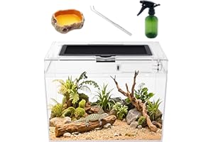 Reptile Growth Mini Reptile Terrarium,12" x 7"x 9" vivarium with Top Sliding Door Screen Ventilation for Small Fish,Insect,Snail,Gecko,Tarantula,Bearded Dragon,Jumping Spider,Stick Insect.