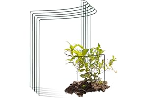 Novatool Lot de 5 tuteurs d'arbustes - Demi-cercle vert - 35 x 40 cm - Pour plantes grimpantes