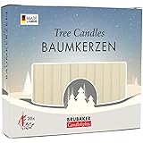 BRUBAKER Christmas Tree Candles for Pyramids Angel Chimes - Champagne - Pack of 20 in a Gift Box