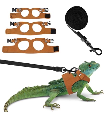 WATFOON Eidechsen-Leine & Geschirr Mit Flügeln – Verstellbares Leder-Set Für Bartagamen & Reptilien