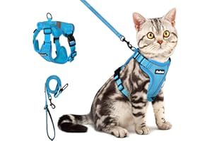 PetBonus Harnais et laisse réglables pour chat, anti-fuite, respirant, pour la marche, facile à contrôler, laisse réfléchissante et harnais pour chats, chatons, chatons (bleu, taille XS)