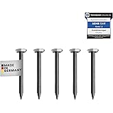 Chiodi Resistenti Per Cemento 100 Chiodi Da 40MM Di Acciaio, Chiodi In Acciaio Per Uso Su Cemento, Mattoni, Intonaco E Legno, Chiodi Zincati, Per Lavori In Legno, Mattoni, Uso Universale Per Interni
