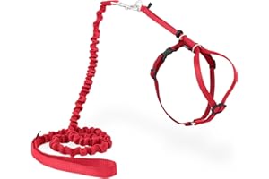 PetSafe Come with Me Kitty - Arnés y Correa elástica, arnés para Gatos, Mediano, Rojo/arándano, Modelo: CWMK-M-Red