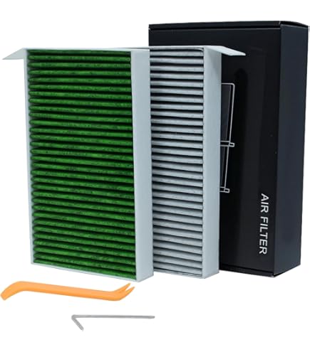 Arcoche Filtro HEPA con carbone attivo per Tesla Model 3 2017-2025 Highland/Model Y 2020-2026 Juniper, filtro dell'aria di scarico con filtrazione degli odori,Numero OE:1107681-00-A (2 Pezzi