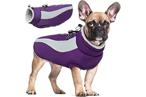 Hjyokuso Cappotto Cane, Cappottino Cane Per Piccoli, Medi e Grandi Cani, Vestiti Per Cani Impermeabile e Caldo, Cappottino Imbottito Per Cane Con Strisce Riflettenti e Cerniera - Viola S