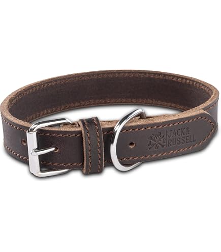 amazon cowhide dog collar
