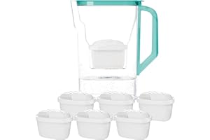 Wessper Wasserfilter Kanne mit Filter, Kühlschranktürkanne 2,7 Liter, Filterkartuschen mit Aktivkohle und Ionenaustauscherharz, Set Kanne und 6 Wasser Filter - Minze