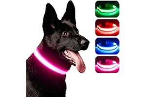 iTayga Collier LED pour Chien - Rechargeable par USB - Réglable - Confortable - en Maille Souple - pour Chiens de Petite, Moyenne et Grande Taille - Rose L