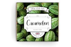 THE LOVELY STUFF COMPANY Grow Your Own Cucamelon Kit - Complete Beginner Starter Kit | Easy Instructions | Made in UK | Perfect Gardening Gift for Any Occasion