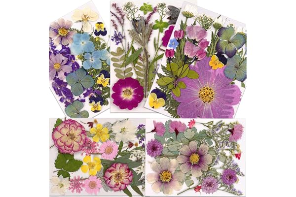 100 St Torkade Pressade Blommor för Harts, Pressade Torra Blommor Kit för Scrapbooking Konsthantverk, Hartssmycken, Resin Telefonfodral, Ljus, Tvåltillverkning, (Typ 2)