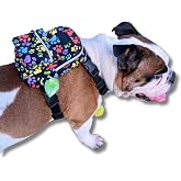 Pawlook Street Smart K&ouml;pek Sırt &Ccedil;antası &ndash; Su Ge&ccedil;irmez, G&ouml;ğ&uuml;s Tasması Fonksiyonlu, Ayarlanabilir Renkli Pati &Ccedil;antalı G&ouml;ğ&uuml;s Tas