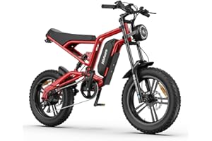 Kanpe Bicicletta Elettrica Fat Bike Elettrica 20"*4",Hidoes Bici Elettrica Uomo Donna con Motore 250W 80NM,15AH Batteria Rimovibile 50+Miles,Mountain Bike con Shi-mano 7 Velocità
