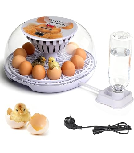 Couveuse Automatique 26 Œufs Écran Tactile - Rotation Auto, Contrôle Température Et Humidité Pour Poules Cailles Canards