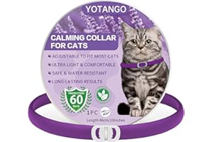 YOTANGO Collier Apaisant pour Chats, Collier Calmante pour Chat Imperméable, Naturel Collier Anti-Anxiété de Taille Réglable de 60 Jours, Collier Calmant aux Phéromones pour Chats Chatons Grandsen Violet