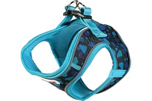 Doodlebone Snappy Harness, Electric Party, 2