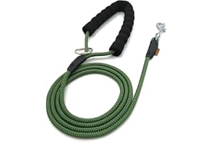 Aiminto Dog Leash, Braided Rope Traction – Walking Training Lead for Small Dogs ((1/3") - 6FT, Dark Green)