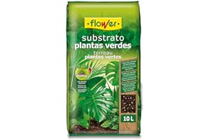 Flower - Substrate Green Plants 10 L | Soil for Indoor and Outdoor Plants | with Perlite, Magnesium and Vegetable Compost | Aeration and Drainage