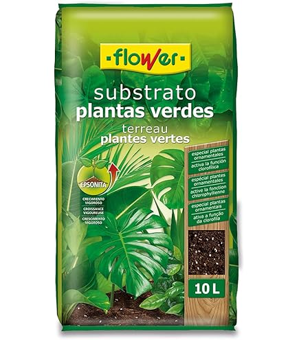 Sustrato Premium Monstera, 3L/1Kg, para Plantas de Interior y Verdes, Coco  y Perlita: Amazon.es: Jardn