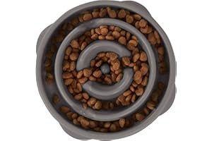 Outward Hound Fun Feeder Slo Bowl - Slow Feeder Dog Bowl - No Bloat - No Choke - Medium - Grey