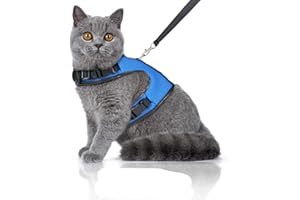 Bella & Balu Uprząż dla kota w zestawie ze smyczą – odporna na pękanie i wytrzymała uprząż na klatkę piersiową z miękką wyściółką wewnętrzną i oddychającą siateczką – zapewnia bezproblemowy przepływ