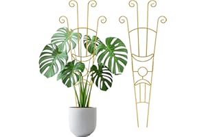 SOUSAC Large Metal Trellis Indoor for Potted Plants, 33 Inch Tall Garden Rustproof Expandable Support Trellis, for Outdoor Climbing Plants Monstera, Ivy, Hoya with Sturdy Weighted Base (2 Pack)