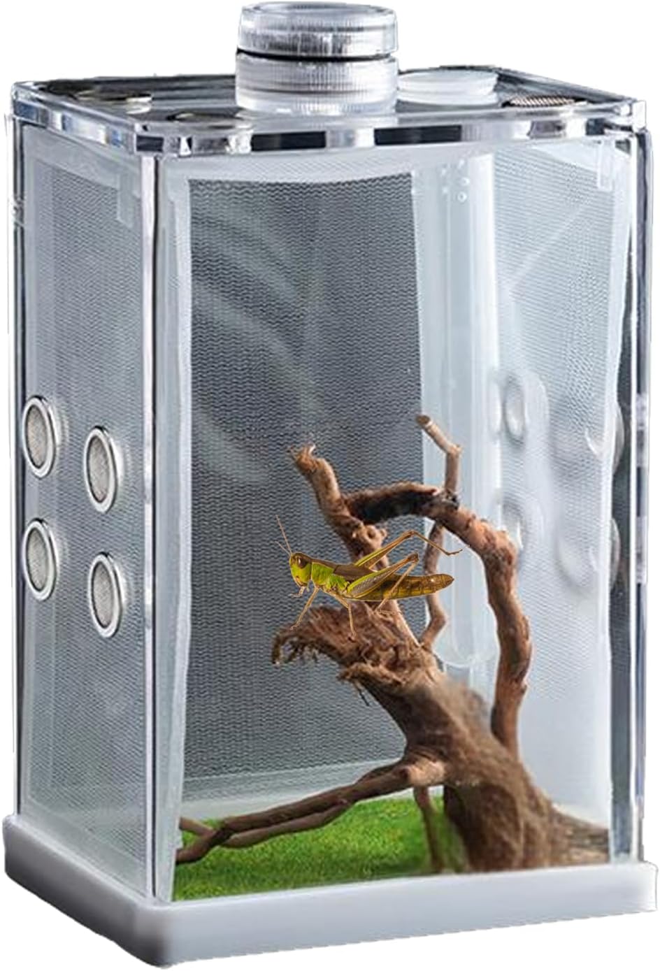 Genérico Recinto para Arañas Saltarinas - Mini Hábitat Acrílico con Luz LED Terrario De Alta Transparencia | Estuche De Observación De Insectos, Pequeña para Vivienda De Reptiles, Exhibición De