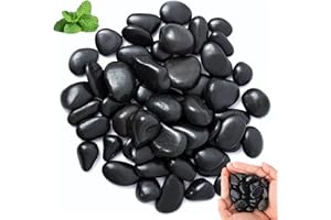 OUTALIZ Ciottoli, Pietre di Fiume Levigate, Ciottoli Lustri Giardino, Pietre di Fiume per Piante in Vaso, per Giardino, la Decorazione della Casa, i Progetti Artistici 2-3 cm, 1 kg(Nero)