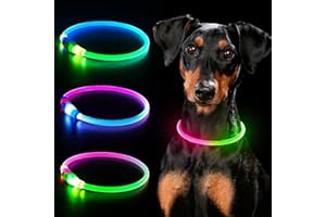 USB wiederaufladbares LED Hundehalsband, YFbrite Wasserdichtes Beleuchtetes Hundehalsband, Schneidbares Hundehalsbandlicht für Welpen, Kleine, Mittlere, Große Hunde und Katzen (Green+Pink)