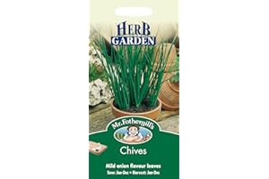 MR FOTHERGILLS Mr Fothergill's 11228 Herb Seeds, Chives, Green