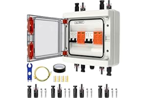 LOYALAEU Überspannungsschutz PV, DC 40A/1000V Trennschalter, Blitzschutz Leitungsschutzschalter(2 in 2 out), Solar PV Anschlusskasten IP65 Wasserdicht