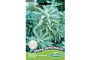 Germisem Salvia Officinalis Semillas de Salvia 1 g, EC1114