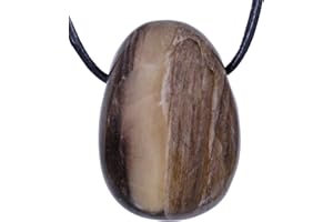 Lebensquelle Plus Pendentif goutte en bois pétrifié | Pendentif en pierre roulée percée avec ruban en coton | Pendentif en pierre précieuse de qualité supérieure, Pierre semi-précieuse, Bois pétrifié