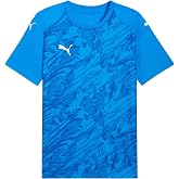 PUMA Teamfinal Graphic Jersey Jerseys Men (Pack of 1)