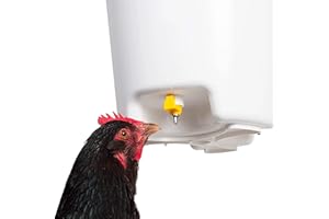 FINCA CASAREJO Abreuvoir à Suspendre pour Poules - Abreuvoir avec 3 tétines - 12 litres - Kit de Suspension fourni