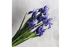huaao 6 PCS Flores Artificiales de Iris Tacto Real, Tallos Largos, Decoración para Arreglos Florales, Ramo de Boda, Foto, Decoración del Hogar, Fiesta, Mesa, Morado