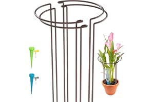 KAZITOO 4 Stück 60x30cm Schleifen-Pflanzenstütze, bronzefarbene Metall-Gartenstützen halbrunde Blumenringe mit 2 Automatisch Bewässerung Set für Gemüse Hortensien Tomaten(bronzebeschichtet)