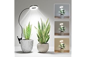 Bamworld Lampe horticole LED Spectre Complet avec Minuterie et Intensité Réglable, Lampe Plante Intérieur USB, Lampe de Croissance pour Plantes Indoor