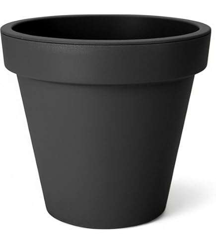 aldi balkon blumenkasten Balkonbox Royal White kaufen
